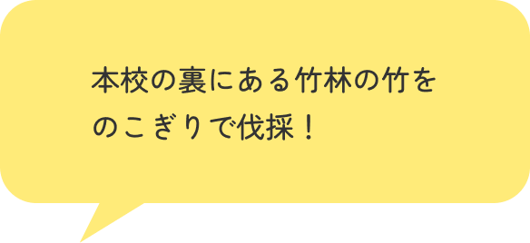 本校の裏にある竹林の竹をのこぎりで伐採！